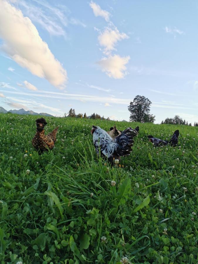 Burglehnerhof Lejlighedshotel Ramsau am Dachstein Eksteriør billede
