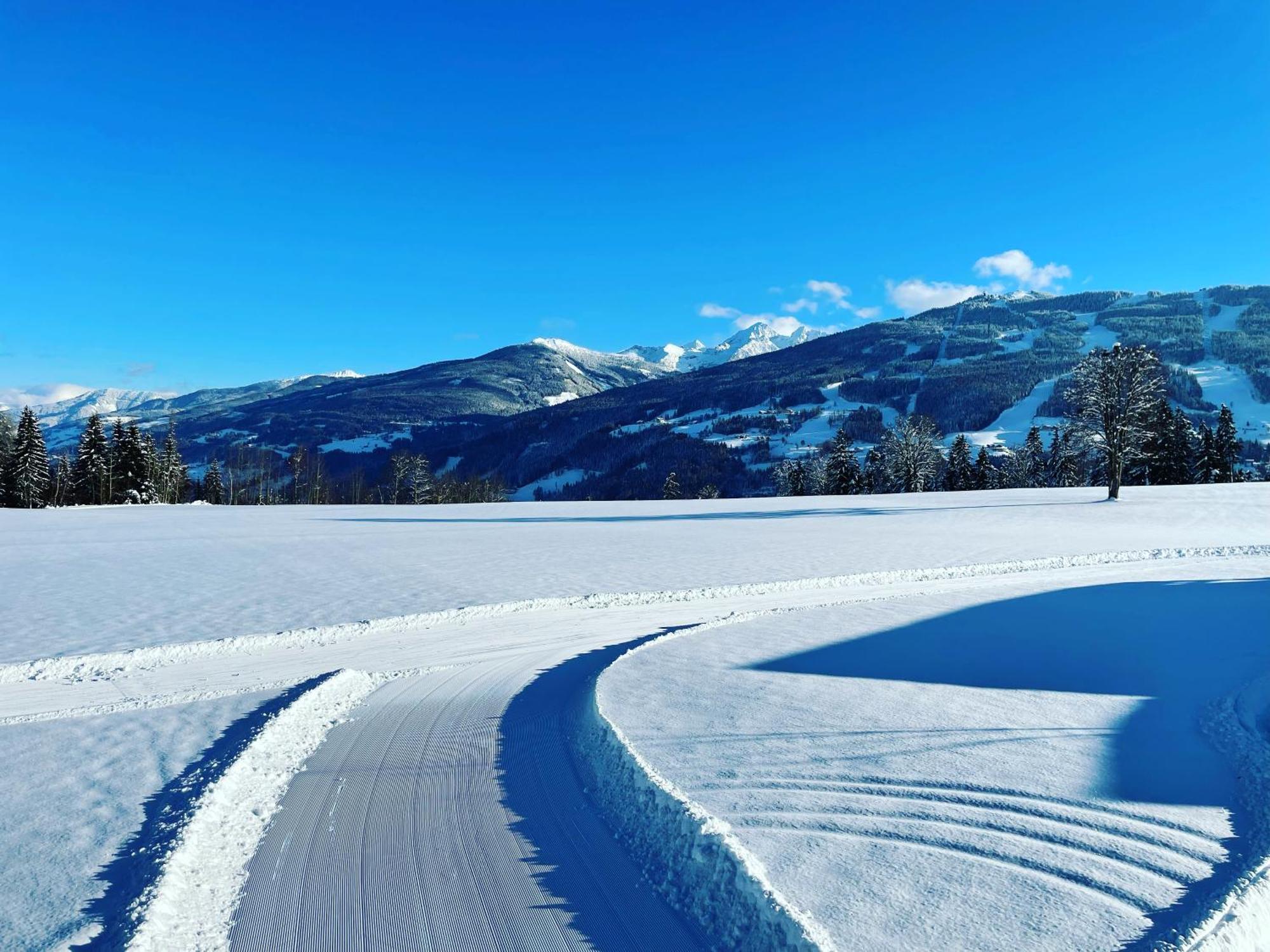 Burglehnerhof Lejlighedshotel Ramsau am Dachstein Eksteriør billede