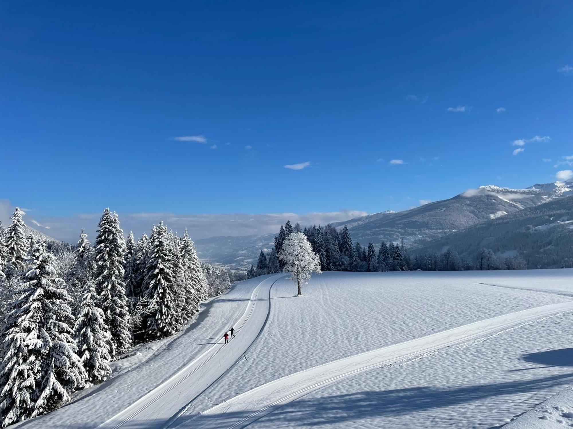 Burglehnerhof Lejlighedshotel Ramsau am Dachstein Eksteriør billede