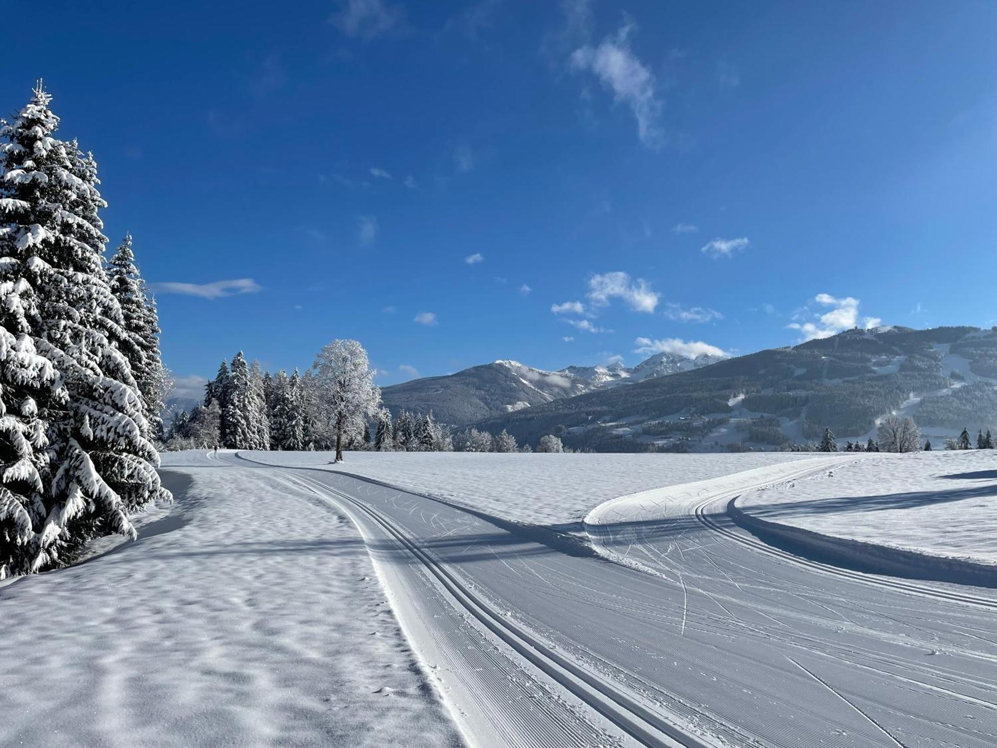 Burglehnerhof Lejlighedshotel Ramsau am Dachstein Eksteriør billede
